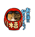猫違います猫ちゃんです（個別スタンプ：8）