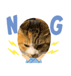 猫違います猫ちゃんです（個別スタンプ：14）
