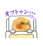 オカメのしおスタンプ（個別スタンプ：6）