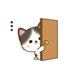 がちゃねこスタンプ♡台湾（個別スタンプ：9）