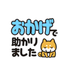 毎日絵文字ライフ【敬語】（個別スタンプ：19）