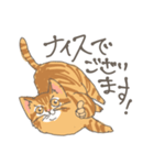 敬語の茶トラ猫だにゃん（個別スタンプ：7）