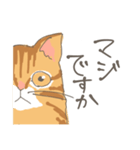 敬語の茶トラ猫だにゃん（個別スタンプ：9）