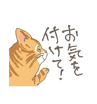 敬語の茶トラ猫だにゃん（個別スタンプ：17）