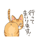 敬語の茶トラ猫だにゃん（個別スタンプ：24）