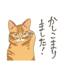 敬語の茶トラ猫だにゃん（個別スタンプ：27）