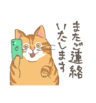 敬語の茶トラ猫だにゃん（個別スタンプ：30）