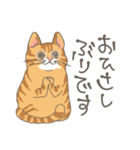 敬語の茶トラ猫だにゃん（個別スタンプ：31）