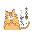 敬語の茶トラ猫だにゃん（個別スタンプ：39）