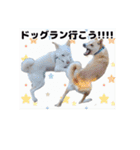 かわいこちゃん！すたんぴ（個別スタンプ：1）