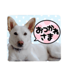 かわいこちゃん！すたんぴ（個別スタンプ：6）
