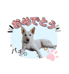 かわいこちゃん！すたんぴ（個別スタンプ：10）