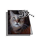 かわいこちゃん！すたんぴ（個別スタンプ：15）