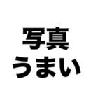 カメラマンになりたい（個別スタンプ：2）