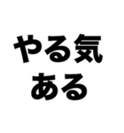 カメラマンになりたい（個別スタンプ：6）