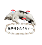 リンタロスァン第4弾（個別スタンプ：4）