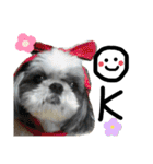 mmrcr（個別スタンプ：3）