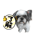 mmrcr（個別スタンプ：5）
