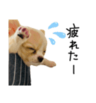 mmrcr（個別スタンプ：7）