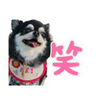 mmrcr（個別スタンプ：10）