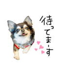 mmrcr（個別スタンプ：12）