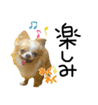 mmrcr（個別スタンプ：14）