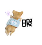 mmrcr（個別スタンプ：22）
