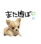 mmrcr（個別スタンプ：23）