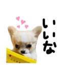 mmrcr（個別スタンプ：24）