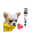 mmrcr（個別スタンプ：25）