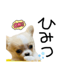 mmrcr（個別スタンプ：30）