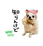 mmrcr（個別スタンプ：32）