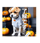 【ハロウィン】コスプレ初心者☆犬（個別スタンプ：2）