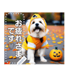 【ハロウィン】コスプレ初心者☆犬（個別スタンプ：3）