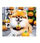 【ハロウィン】コスプレ初心者☆犬（個別スタンプ：5）