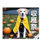 【ハロウィン】コスプレ初心者☆犬（個別スタンプ：10）