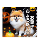 【ハロウィン】コスプレ初心者☆犬（個別スタンプ：15）