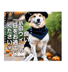 【ハロウィン】コスプレ初心者☆犬（個別スタンプ：16）