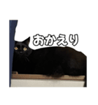 黒豆スタンプ(表情豊)（個別スタンプ：6）