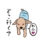 だって俺犬だし（個別スタンプ：13）