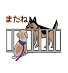 だって俺犬だし（個別スタンプ：40）