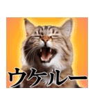 適当に返信するときに使う意味不明なやつ（個別スタンプ：4）