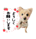 れいら スタンプ ♡（個別スタンプ：4）