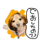 れいら スタンプ ♡（個別スタンプ：16）