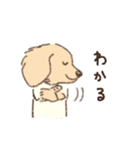 まるっこ犬 ダックスフンド(クリーム)（個別スタンプ：28）