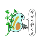 微生物の世界4 ミジンコのゆる日常会話（個別スタンプ：2）