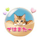 アニメ猫♡パンが好き 毎日使える（個別スタンプ：31）