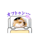 えーいちTheMoveスタンプ（個別スタンプ：13）