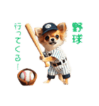 可愛いチワワのチワワスタンプ（個別スタンプ：4）