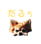 可愛いチワワのチワワスタンプ（個別スタンプ：7）